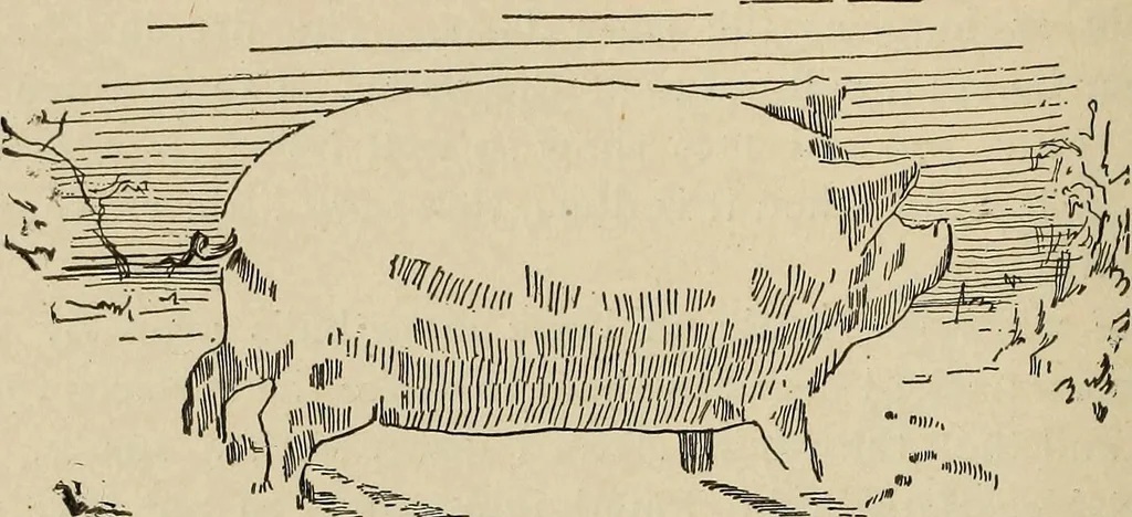 An illustration from What to do and how to do it; the American boys handy book, 1920, leaf 301