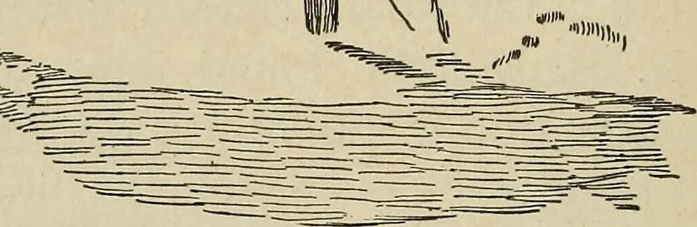 An illustration from What to do and how to do it; the American boys handy book, 1920, leaf 301