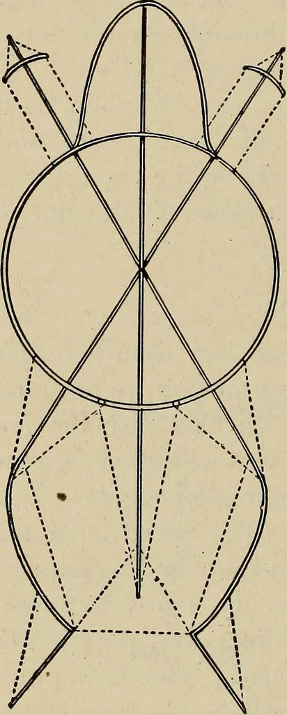 An illustration from What to do and how to do it; the American boys handy book, 1920, leaf 33