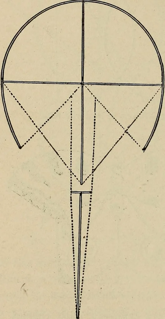 An illustration from What to do and how to do it; the American boys handy book, 1920, leaf 35