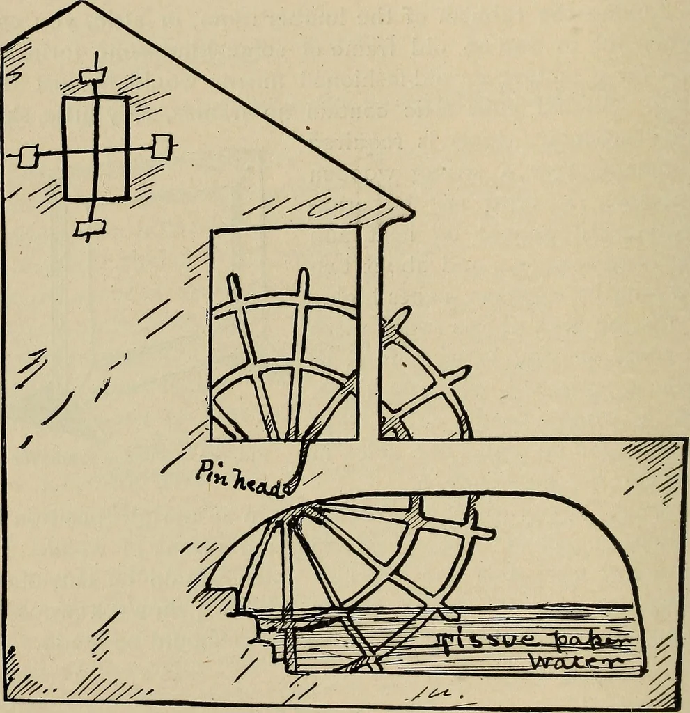 An illustration from What to do and how to do it; the American boys handy book, 1920, leaf 353