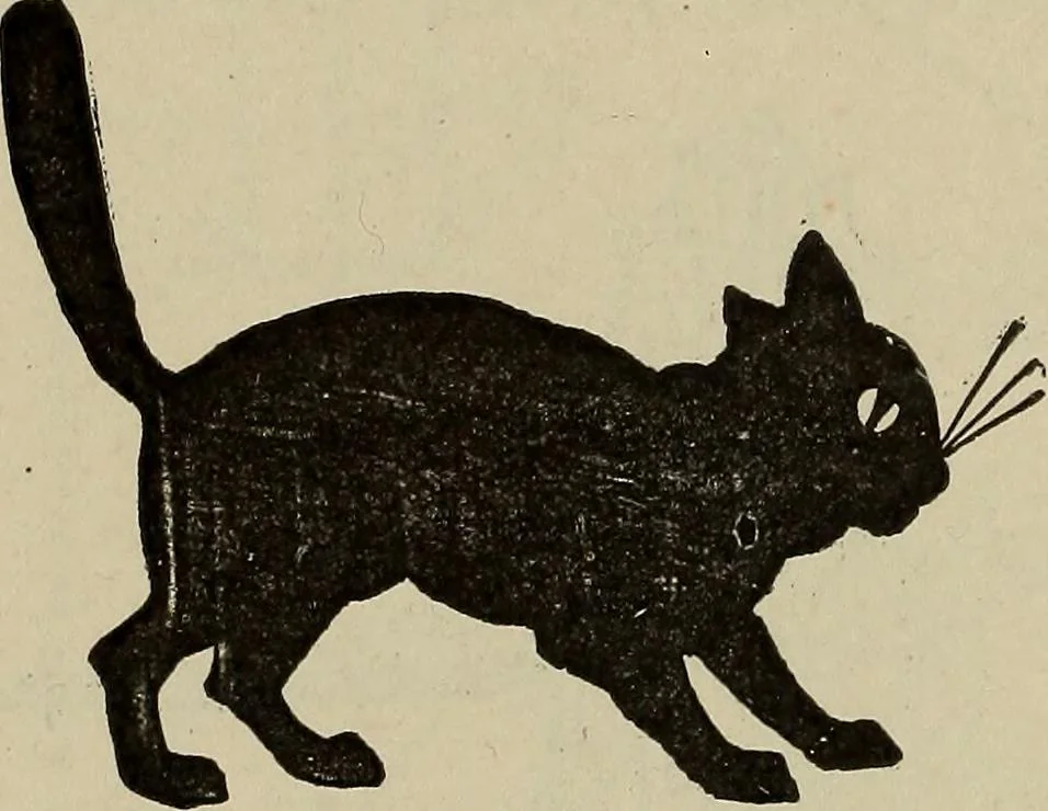 An illustration from What to do and how to do it; the American boys handy book, 1920, leaf 355