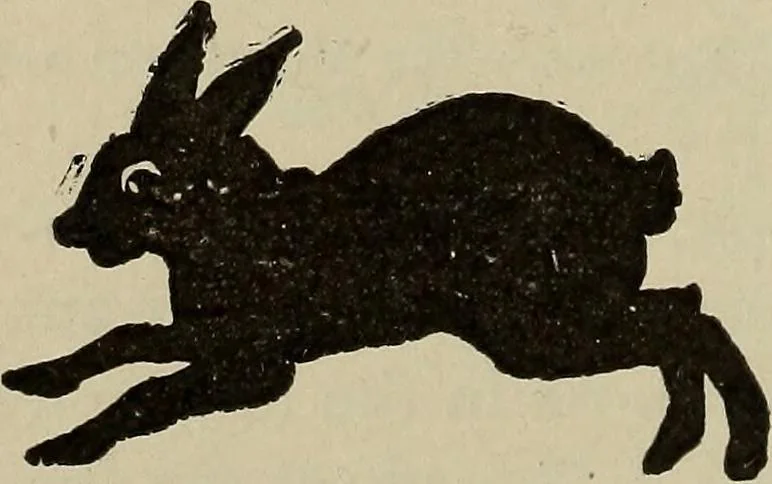 An illustration from What to do and how to do it; the American boys handy book, 1920, leaf 355