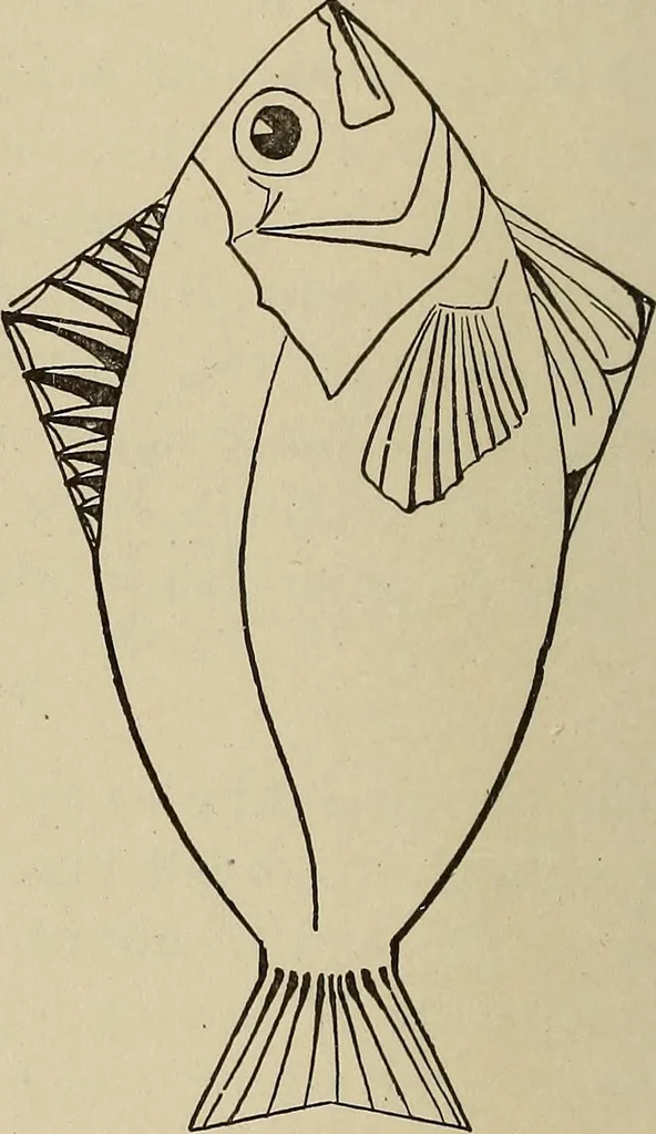 An illustration from What to do and how to do it; the American boys handy book, 1920, leaf 37