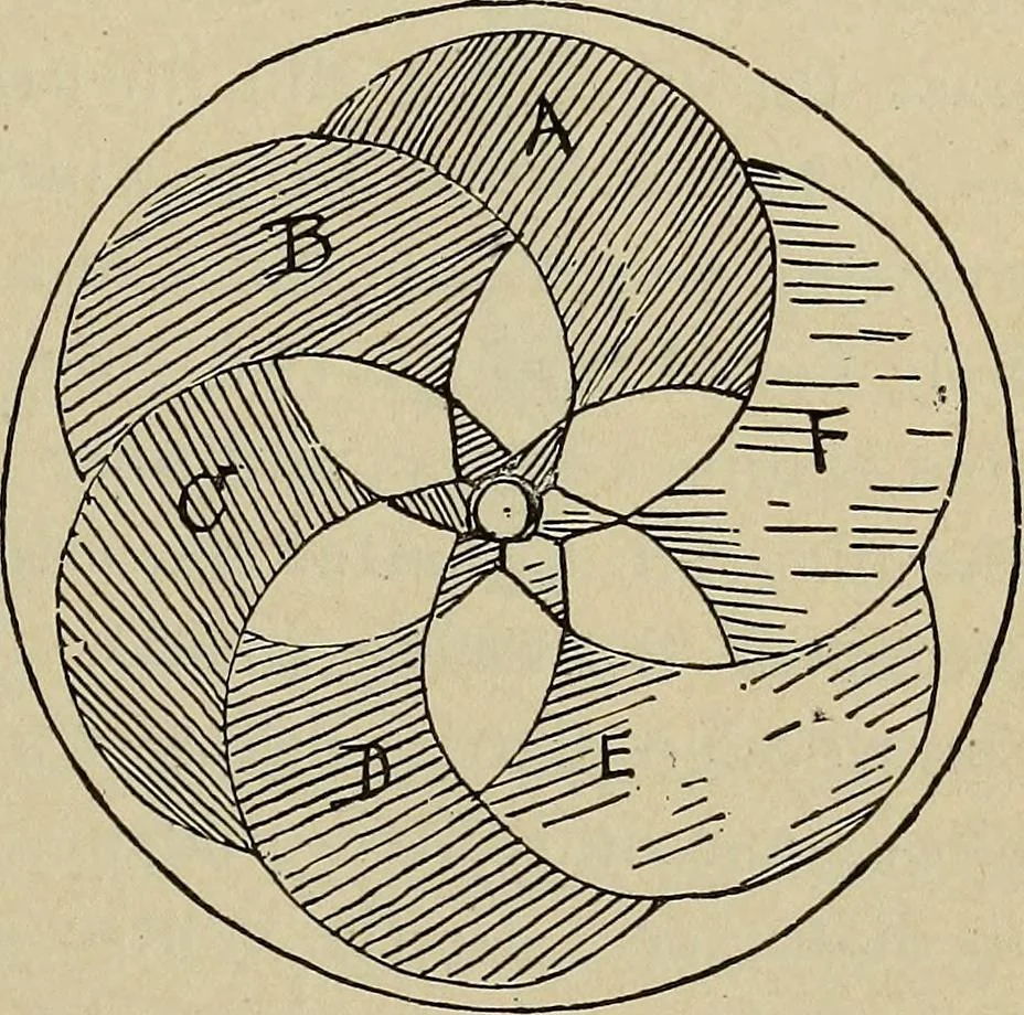 An illustration from What to do and how to do it; the American boys handy book, 1920, leaf 390