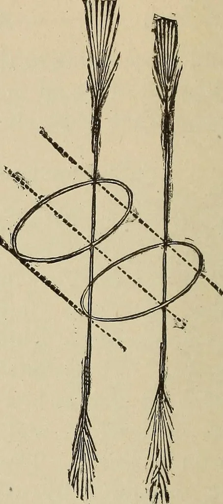 An illustration from What to do and how to do it; the American boys handy book, 1920, leaf 41