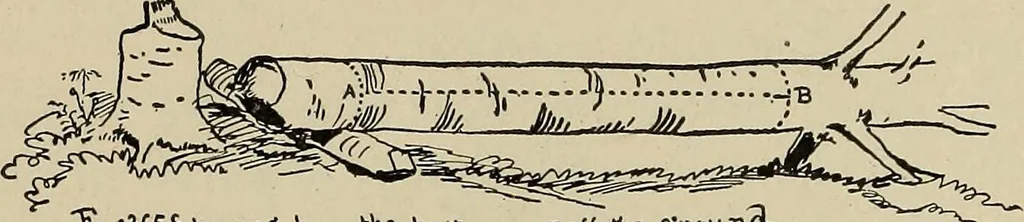 An illustration from What to do and how to do it; the American boys handy book, 1920, leaf 423