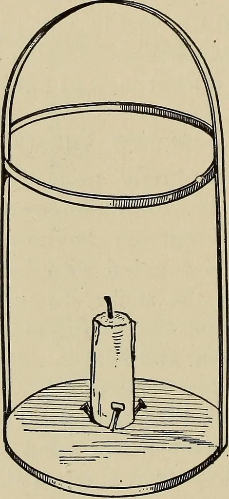 An illustration from What to do and how to do it; the American boys handy book, 1920, leaf 43