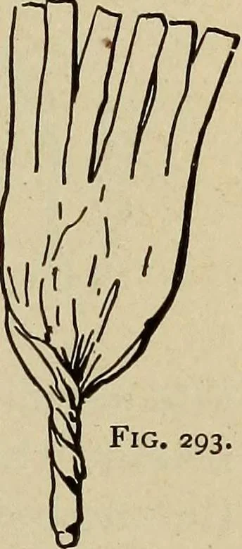 An illustration from What to do and how to do it; the American boys handy book, 1920, leaf 440