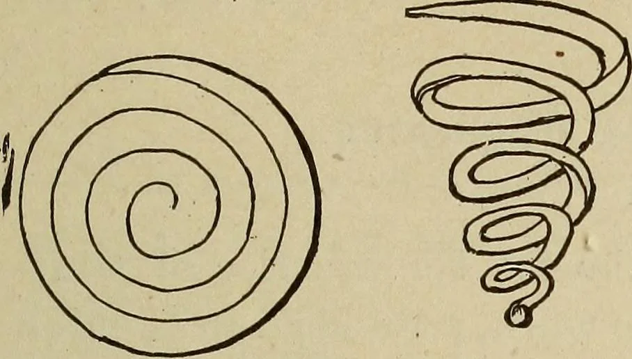 An illustration from What to do and how to do it; the American boys handy book, 1920, leaf 442