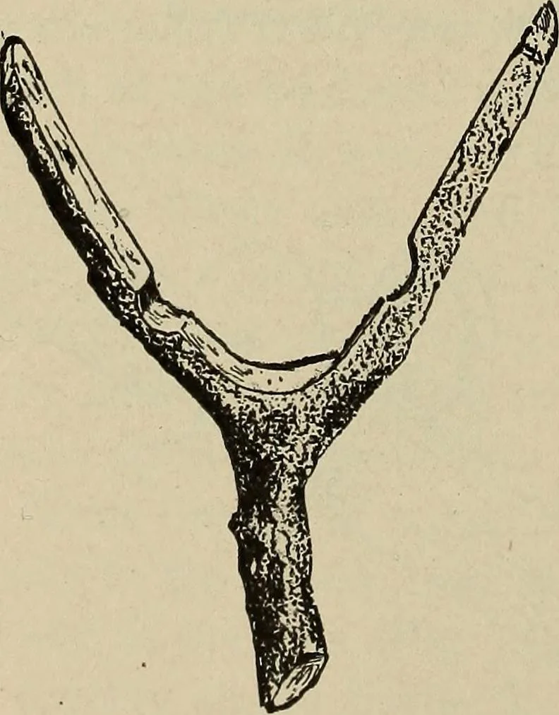 An illustration from What to do and how to do it; the American boys handy book, 1920, leaf 59