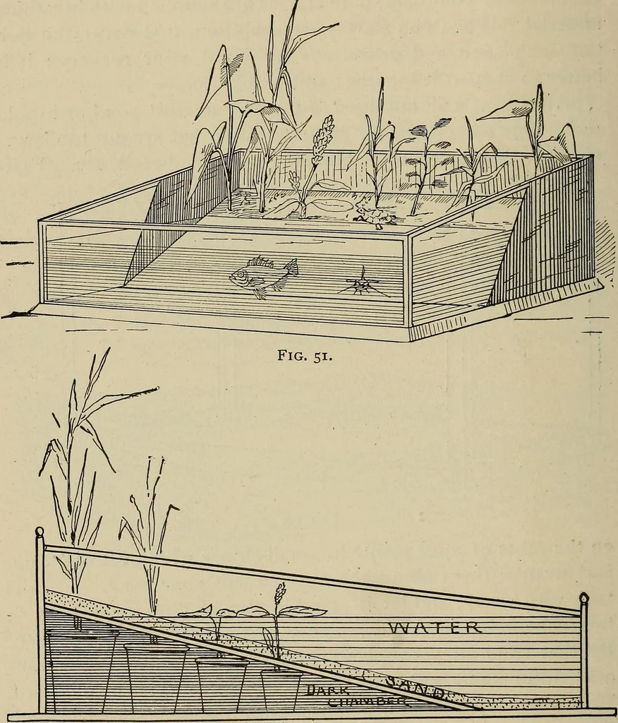 An illustration from What to do and how to do it; the American boys handy book, 1920, leaf 71