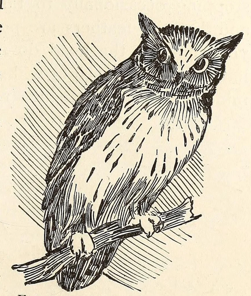 An illustration from What to do and how to do it : the American boy's handy book / by D. C. Beard., 1882, leaf 257