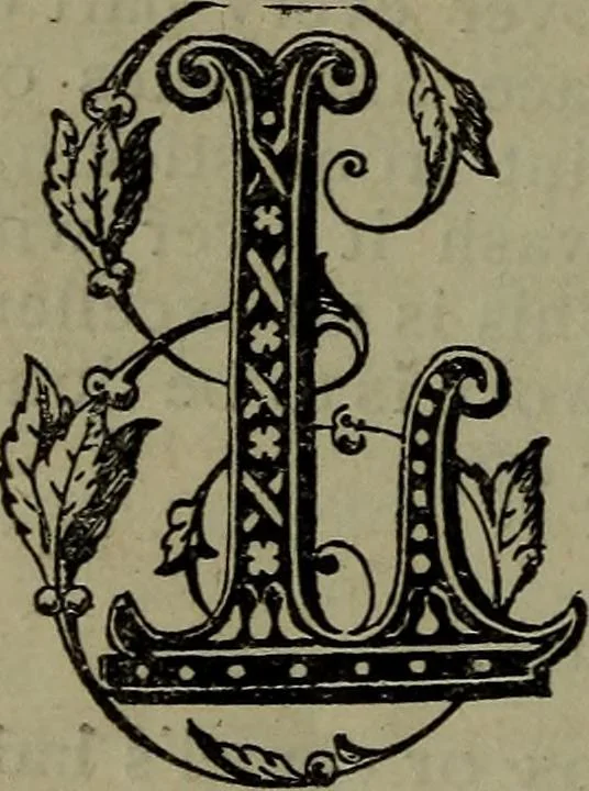 An illustration from What to do and how to do it. For those who paint, varnish, or kalsomine, 1883, leaf 41