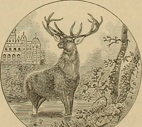 An illustration from The wheel, 1880, leaf 90