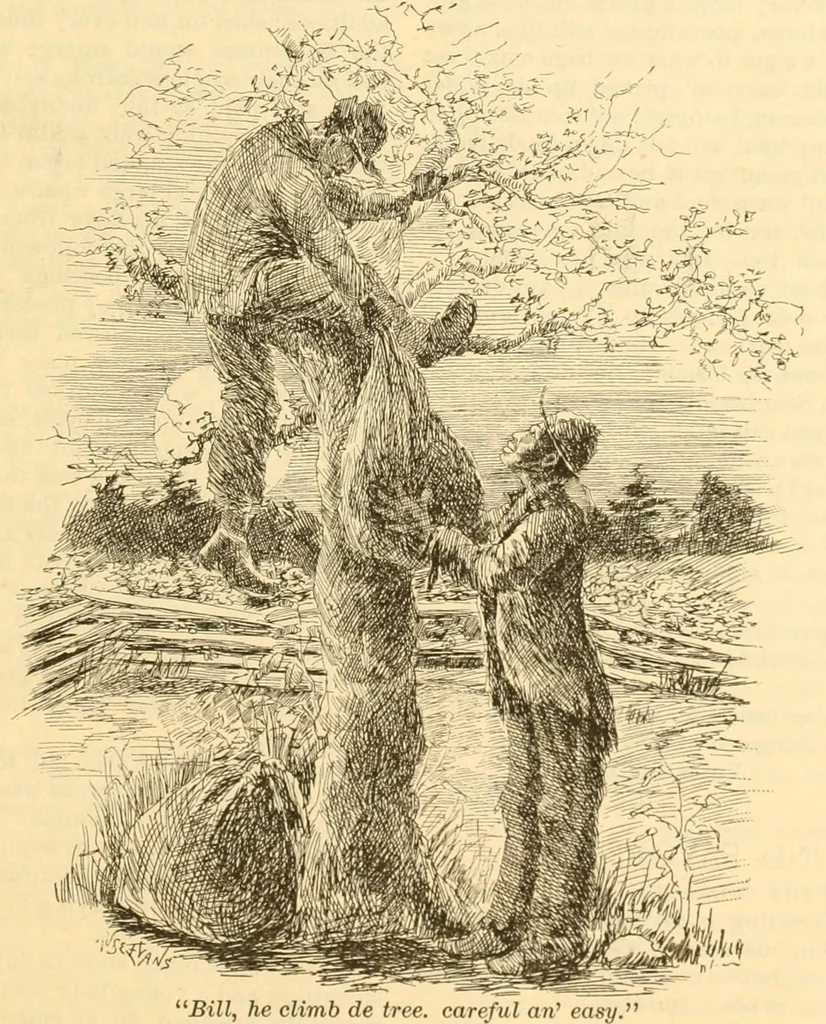 An illustration from The Wheelmen's gazette, 1886, leaf 173