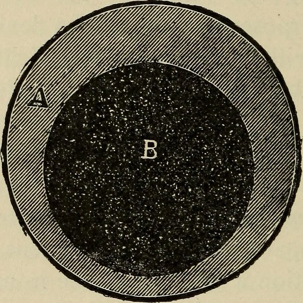 An illustration from Wheels and wheeling; an indispensable handbook for cyclists, with over two hundred illustrations, 1892, leaf 261