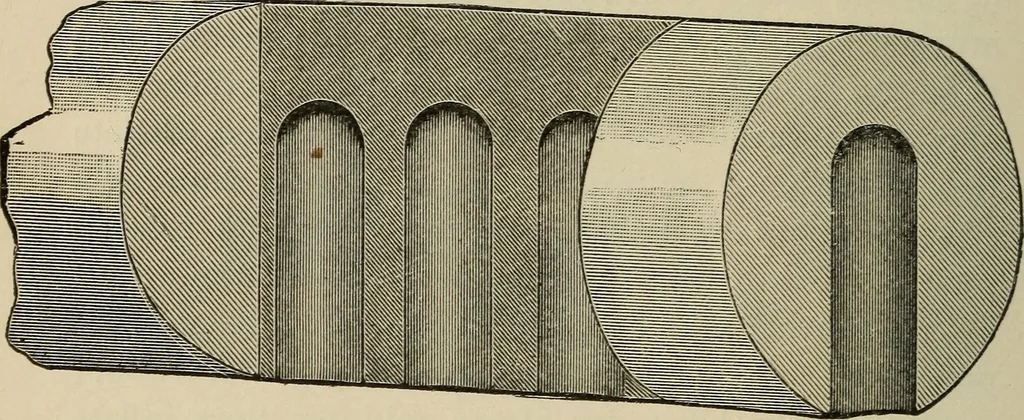 An illustration from Wheels and wheeling; an indispensable handbook for cyclists, with over two hundred illustrations, 1892, leaf 267