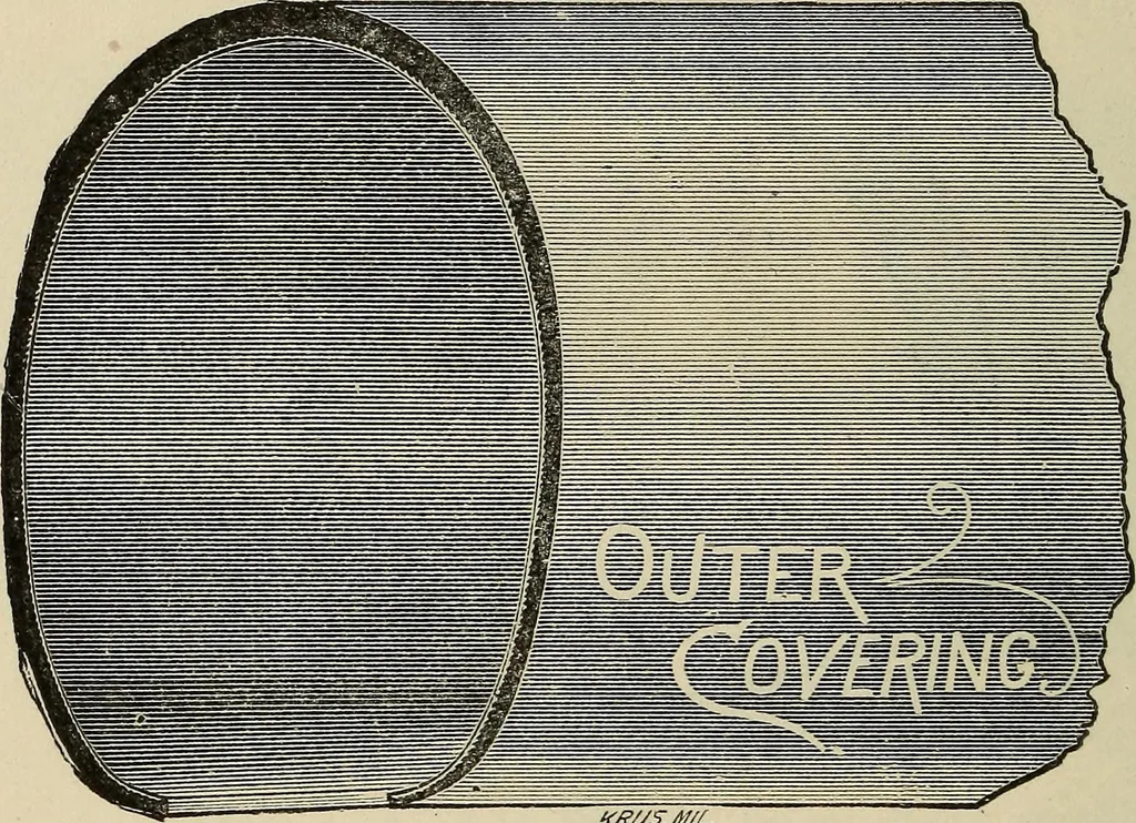 An illustration from Wheels and wheeling; an indispensable handbook for cyclists, with over two hundred illustrations, 1892, leaf 269