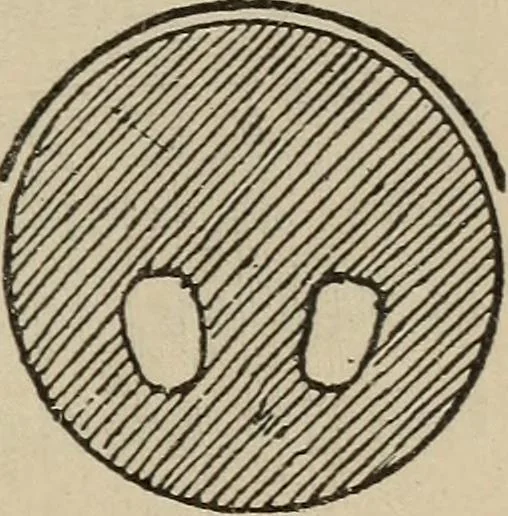 An illustration from Wheels and wheeling; an indispensable handbook for cyclists, with over two hundred illustrations, 1892, leaf 276