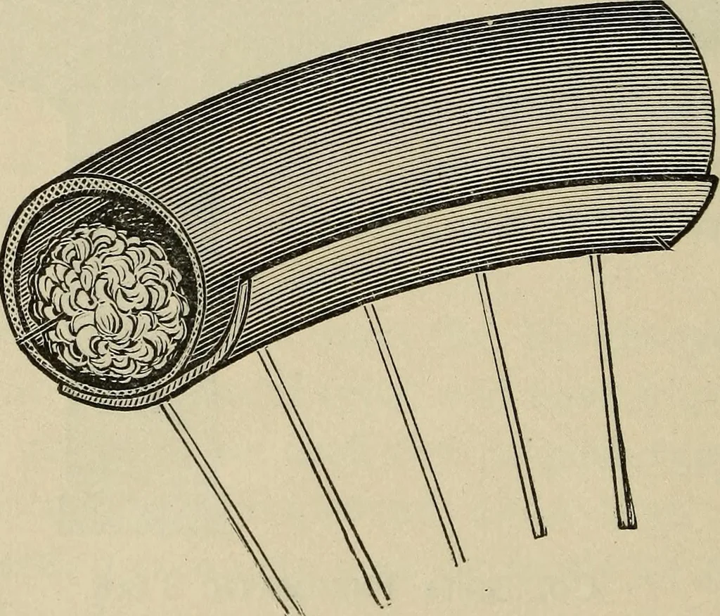 An illustration from Wheels and wheeling; an indispensable handbook for cyclists, with over two hundred illustrations, 1892, leaf 285