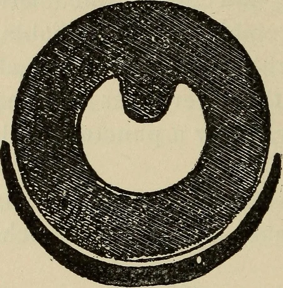 An illustration from Wheels and wheeling; an indispensable handbook for cyclists, with over two hundred illustrations, 1892, leaf 325