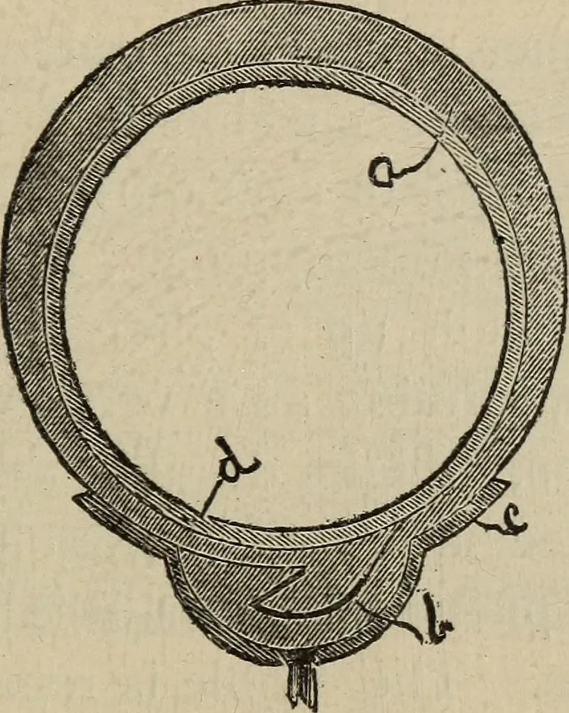 An illustration from Wheels and wheeling; an indispensable handbook for cyclists, with over two hundred illustrations, 1892, leaf 330