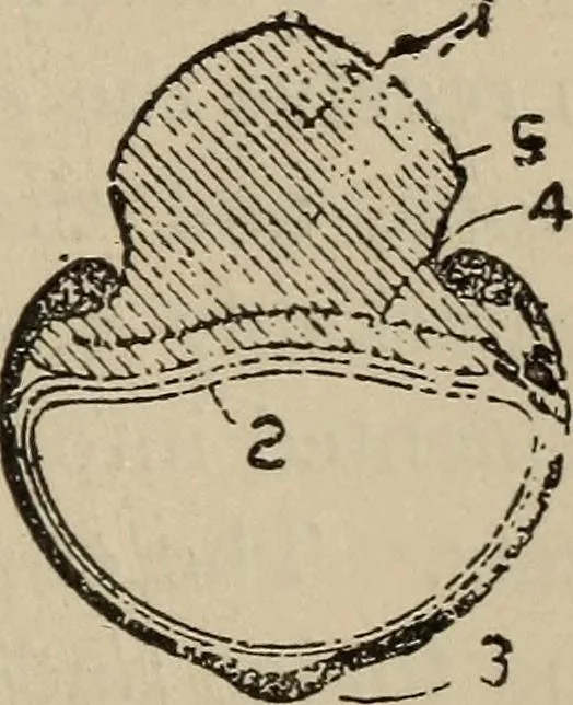 An illustration from Wheels and wheeling; an indispensable handbook for cyclists, with over two hundred illustrations, 1892, leaf 330