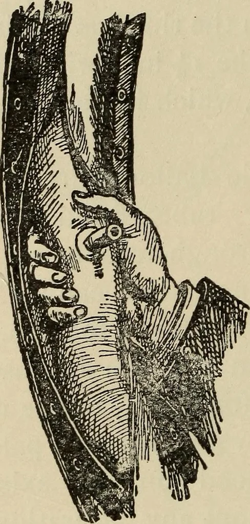 An illustration from Wheels and wheeling; an indispensable handbook for cyclists, with over two hundred illustrations, 1892, leaf 341