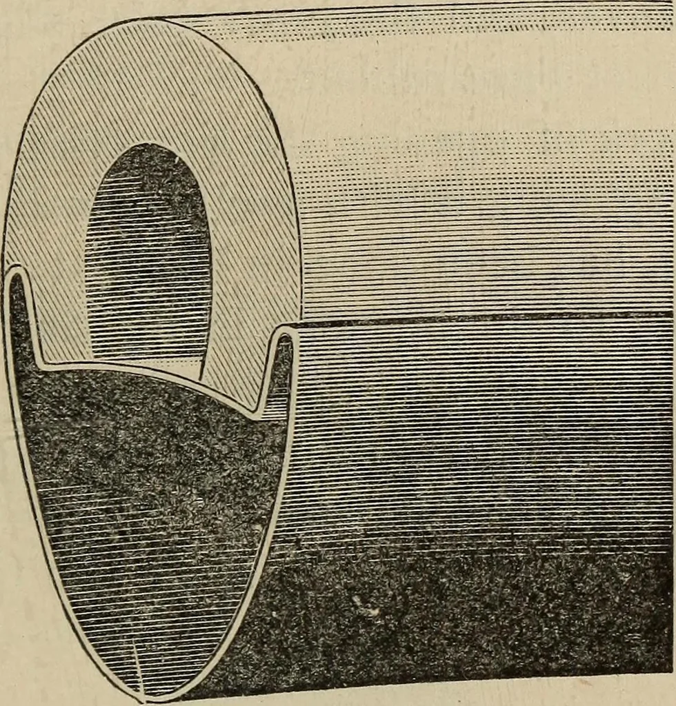 An illustration from Wheels and wheeling; an indispensable handbook for cyclists, with over two hundred illustrations, 1892, leaf 354