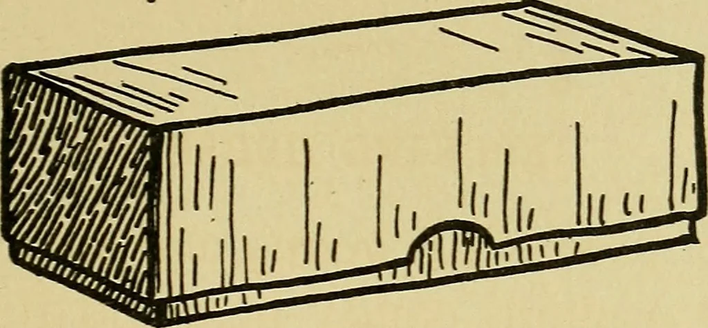 An illustration from When mother lets us make toys; a book which develops ingenuity and inventive power through the making of unique toys out of materials which every boy and girl can get with almost no expense, 1915, leaf 112