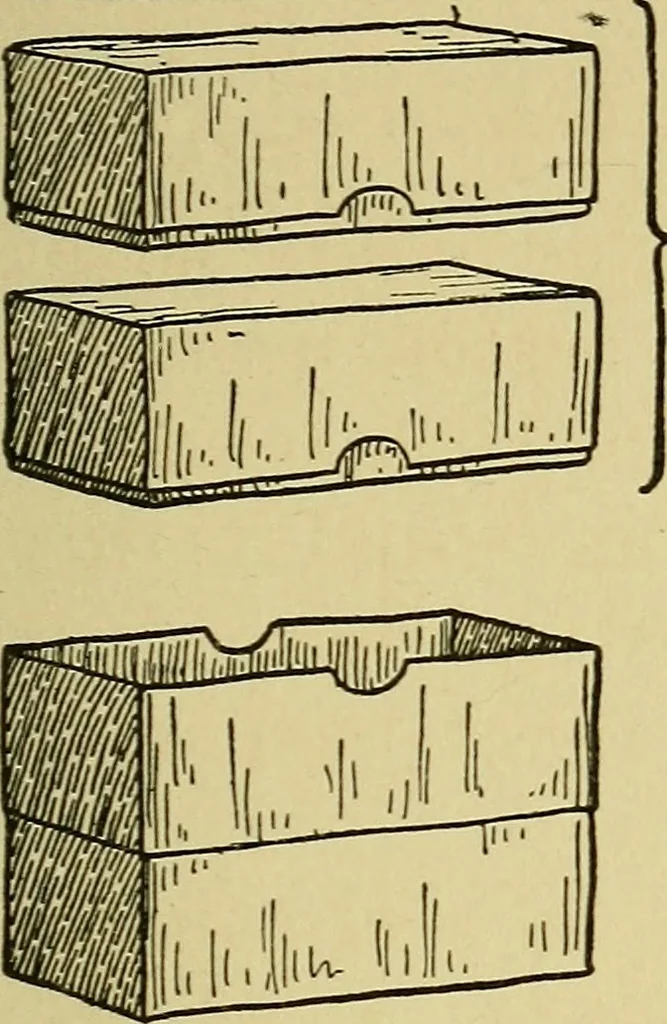 An illustration from When mother lets us make toys; a book which develops ingenuity and inventive power through the making of unique toys out of materials which every boy and girl can get with almost no expense, 1915, leaf 40