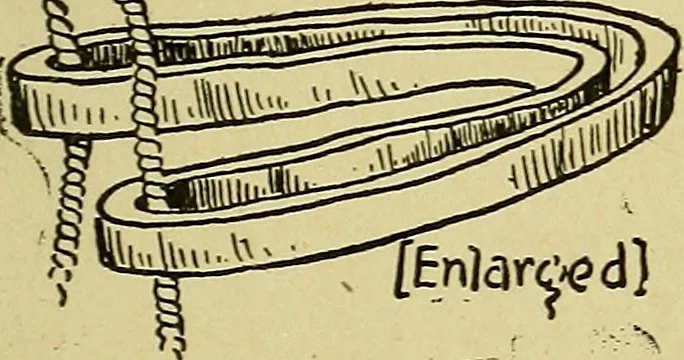 An illustration from When mother lets us make toys; a book which develops ingenuity and inventive power through the making of unique toys out of materials which every boy and girl can get with almost no expense, 1915, leaf 64