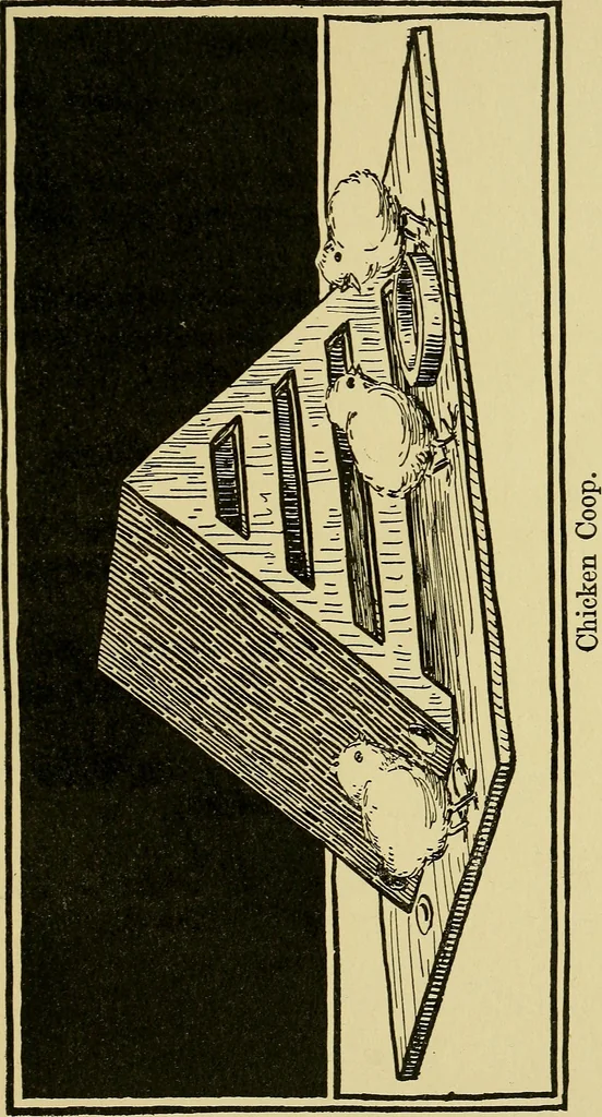 An illustration from When mother lets us make toys; a book which develops ingenuity and inventive power through the making of unique toys out of materials which every boy and girl can get with almost no expense, 1915, leaf 88