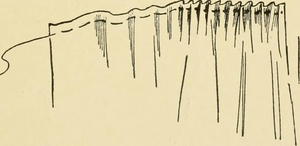 An illustration from When mother lets us sew, 1910, leaf 52