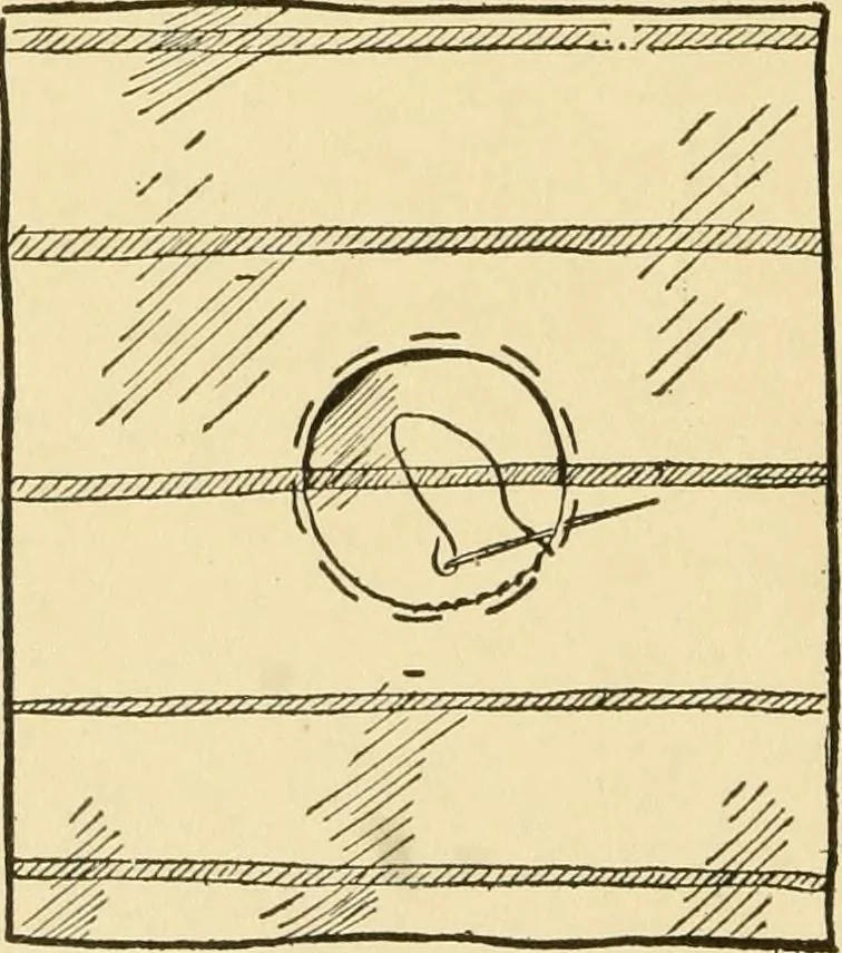 An illustration from When mother lets us sew, 1910, leaf 95
