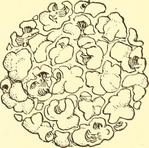 An illustration from When mother lets us give a party; a book that tells little folk how best to entertain and amuse their little friends, 1909, leaf 25