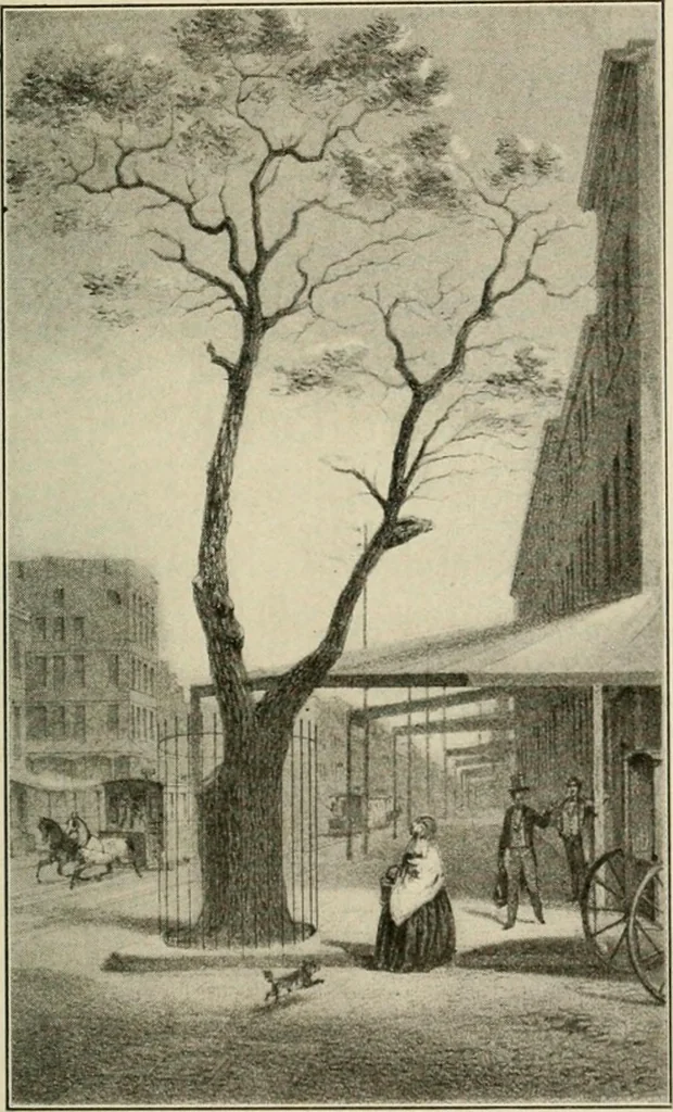 An illustration from When old New York was young, 1902, leaf 188