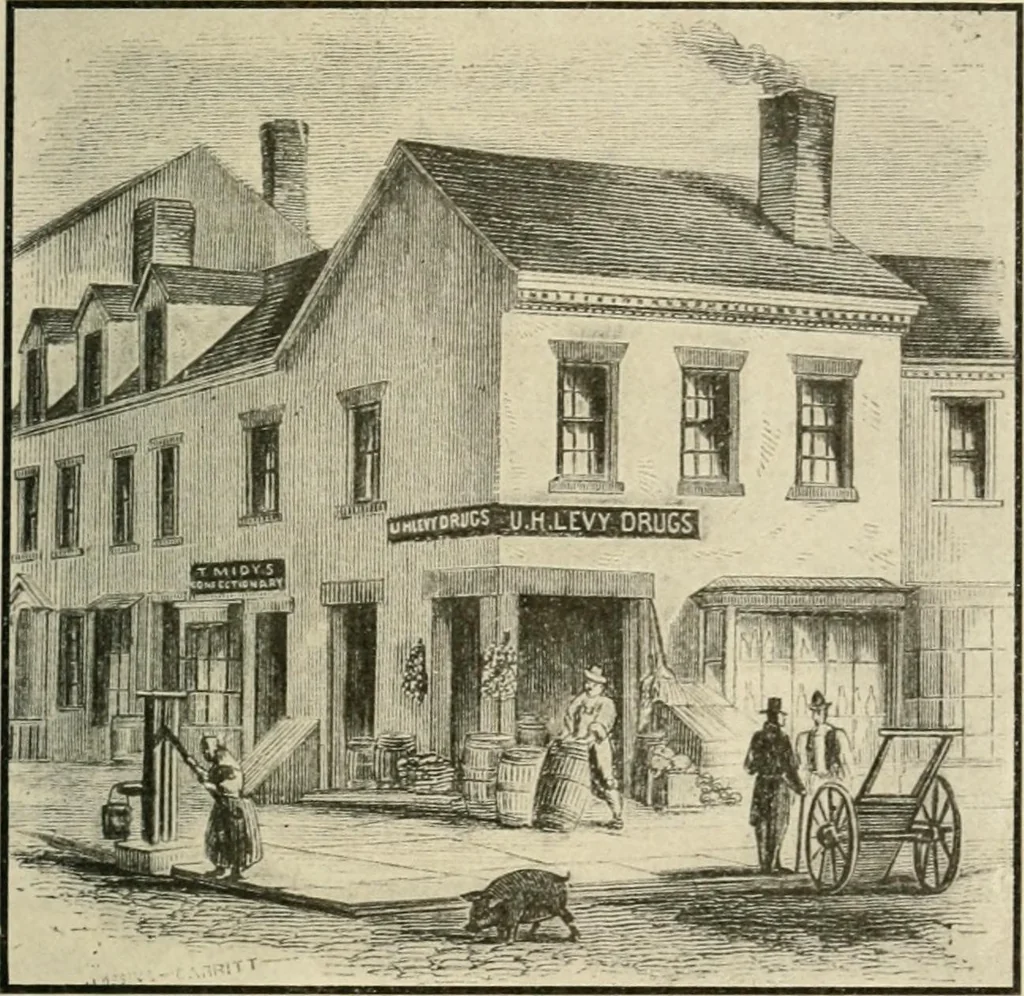 An illustration from When old New York was young, 1902, leaf 296
