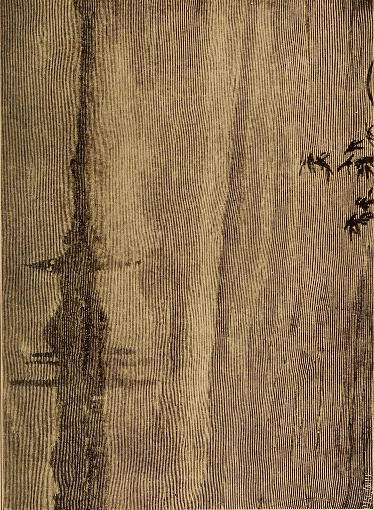 An illustration from The Whistler book : a monograph of the life and position in art of James McNeill Whistler, together with a careful study of his more important works, 1910, leaf 126