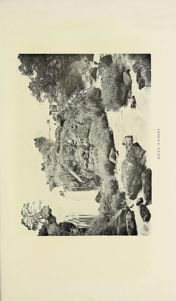 An illustration from A white king in East Africa : the remarkable adventures of John Boyes, trader and soldier of fortune, who became king of the savage Wa-Kikuyu, 1912, leaf 307