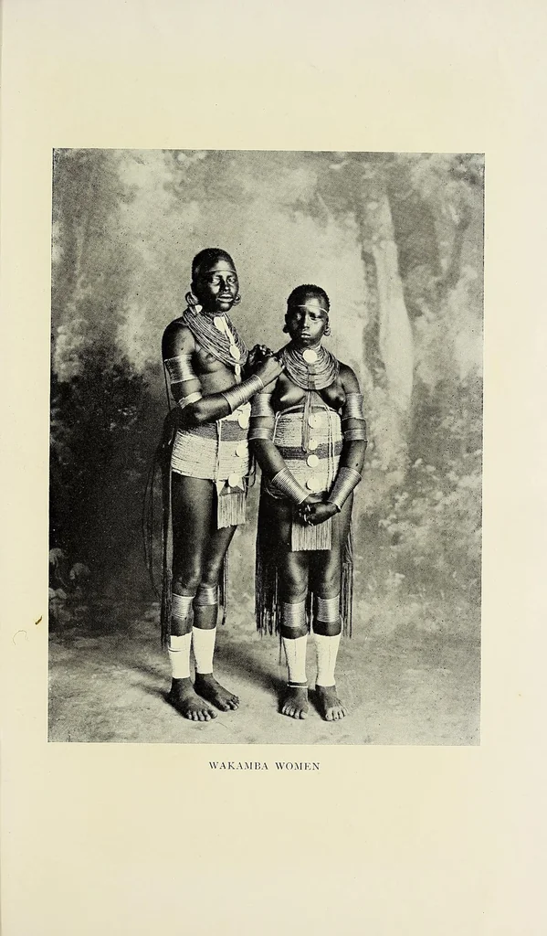 An illustration from A white king in East Africa : the remarkable adventures of John Boyes, trader and soldier of fortune, who became king of the savage Wa-Kikuyu, 1912, leaf 345