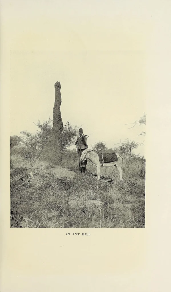 An illustration from A white king in East Africa : the remarkable adventures of John Boyes, trader and soldier of fortune, who became king of the savage Wa-Kikuyu, 1912, leaf 85