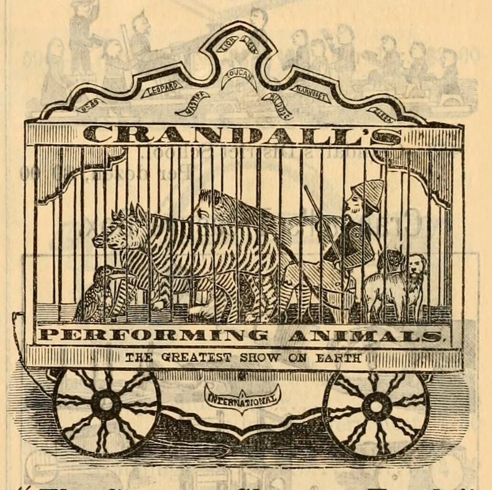 An illustration from Wholesale catalogue & price list, 1879-80., 1879, leaf 21