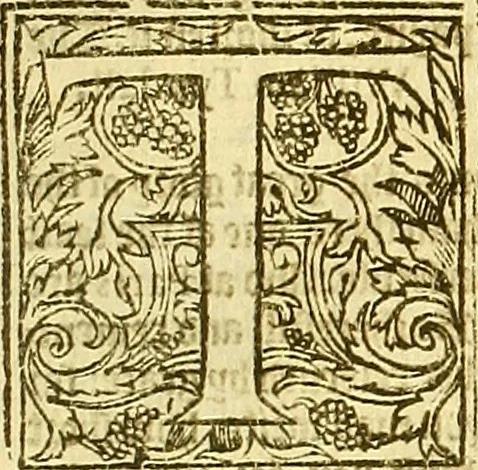 An illustration from The whole workes of W. Tyndall, Iohn Frith, and Doct. Barnes : three worthy martyrs and principall teachers of this Churche of England, 1573, leaf 470