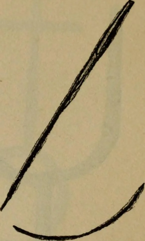 An illustration from The widow's mite and other psychic phenomena, 1904, leaf 318