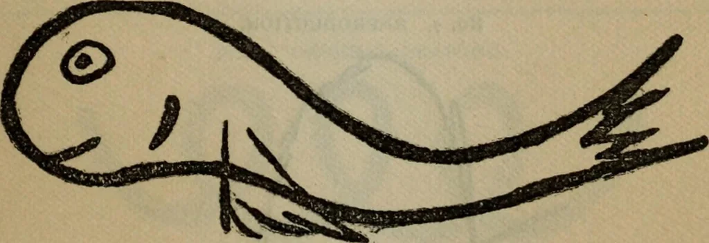 An illustration from The widow's mite and other psychic phenomena, 1904, leaf 320