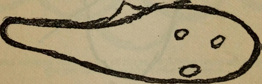 An illustration from The widow's mite and other psychic phenomena, 1904, leaf 320