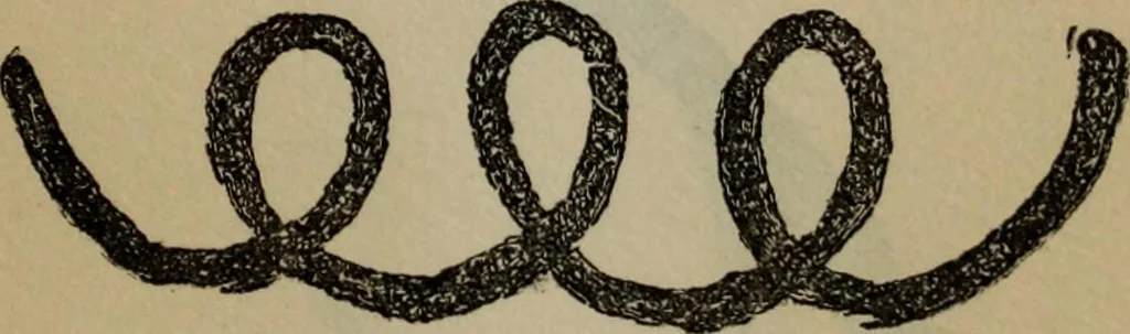 An illustration from The widow's mite and other psychic phenomena, 1904, leaf 322
