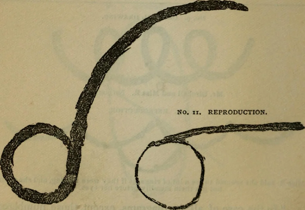 An illustration from The widow's mite and other psychic phenomena, 1904, leaf 323